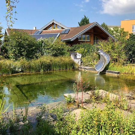Apartamento Gut Müllerleile Gengenbach Exterior foto