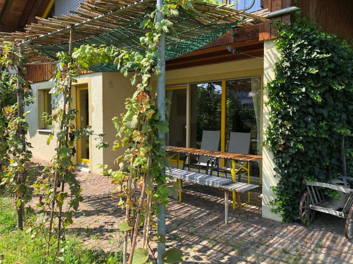 Apartamento Gut Müllerleile Gengenbach Exterior foto
